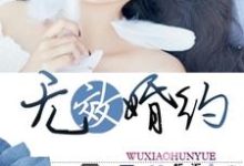 无效婚约秦烟洛宸楚炎苏落,无效婚约章节在线阅读-侠客文学