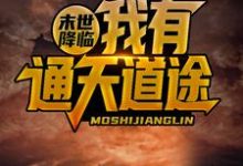 韩宇韩卿的故事在哪本书里？免费阅读末世降临，我有通天道途-侠客文学