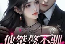 完结版《他桀骜不驯,却十分好撩》在线免费阅读-侠客文学