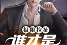 主角阮梨清沈灼小说极限拉扯：谁才是爱情赢家免费阅读-侠客文学