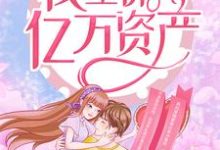 苏锦棠傅北尧的故事在哪本书里？免费阅读嫁给短命老公后，我坐拥亿万资产-侠客文学