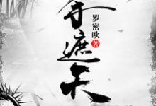 一手遮天小说完结版章节免费阅读-侠客文学