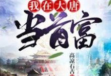 哪里能找到我在大唐当首富小说的最新更新和免费章节?-侠客文学