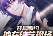 秦楠是哪本书的主角？开局解约：他在综艺现场作词作曲免费读-侠客文学