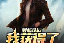 主角楚城小说穿越以后，我获得了签到系统免费阅读-侠客文学