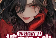 在线寻找都市日常：大小姐她太病娇小说的无删减版本-侠客文学