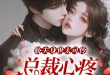 小说《娇夫身世太可怜,总裁心疼按墙亲》在线章节阅读-侠客文学