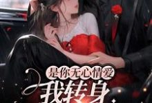 男女主人公林清也时惟樾小说是你无心情爱，我转身嫁人你急啥？章节免费阅读-侠客文学