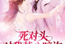 江念沈执是哪本书的主角？死对头对我芳心暗许，给他一个机会免费读-侠客文学