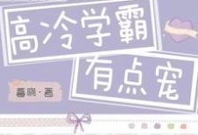 高冷学霸有点宠这本小说在哪里可以看？哪里有免费试读章节？-侠客文学