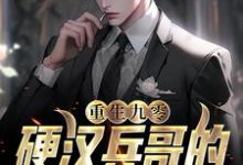 免费阅读苏樱谢旌为主角的小说，重生九零，硬汉兵哥的甜美娇妻在线看-侠客文学