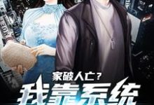 男女主人公许良小说家破人亡？我靠系统儿孙满堂章节免费阅读-侠客文学