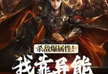 求推荐可以免费阅读杀敌爆属性!我靠异能逆袭皇位小说的网站-侠客文学