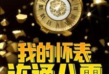小说《我的怀表连通八零》章节免费阅读-侠客文学