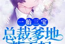 一胎三宝，总裁爹地惹不起小说完结了吗？在哪里可以免费读到？-侠客文学
