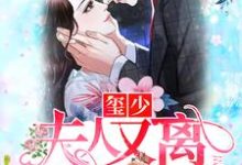 《玺少,夫人又离家出走了》小说大结局免费试读 夏笙儿权玺小说-侠客文学