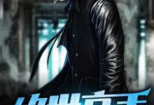 完结版《绝世高手》章节阅读-侠客文学