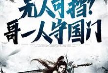 无人可挡?哥一人守国门小说无弹窗阅读的网站推荐-侠客文学