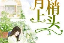 《月上柳梢头》小说大结局免费试读 孙乔乔万莹莹蔡一翔海阔小说-侠客文学