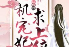 商凉玥帝聿小说《心机宠妃求上位:王爷,请赐教》在线阅读-侠客文学