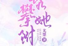 《甜宠，禁欲总裁诱拐小秘书》小说章节列表免费试读，云枝傅斯衍小说在线阅读-侠客文学