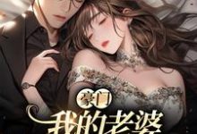 在线寻找豪门:我的老婆平平无奇小说的无删减版本-侠客文学