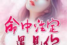 男女主人公向安若徐轩欧阳浩泽小说命中注定遇见你章节免费阅读-侠客文学