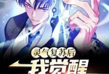 灵气复苏后，我觉醒S级天赋楚明小说在线章节免费阅读-侠客文学