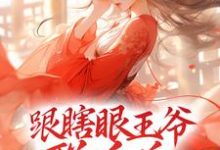 跟瞎眼王爷联手后，我打脸众渣小说，跟瞎眼王爷联手后，我打脸众渣在线阅读-侠客文学