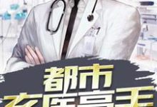 求都市玄医高手小说的全文免费阅读链接-侠客文学