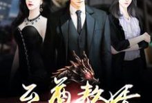 至尊赘婿小说，至尊赘婿楚枫林曼雅木清风黄乐乐-侠客文学