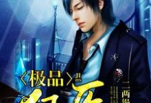 寻找能够免费阅读极品狂医小说的平台-侠客文学