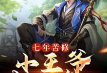 免费看七年苦修，小王爷武林第一小说的网站有哪些？-侠客文学