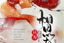 免费看只为相思老小说的网站有哪些？-侠客文学