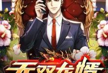 小说《无双龙婿》章节免费阅读-侠客文学