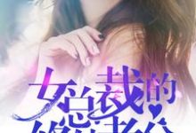 女总裁的修仙老公小说的无弹窗阅读体验，寻找免费阅读网站-侠客文学