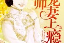 少帅宠妻上瘾最新章节，少帅宠妻上瘾章节在线阅读-侠客文学