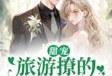 哪里能找到甜宠:旅游撩的老板追来了!小说的全部章节?-侠客文学