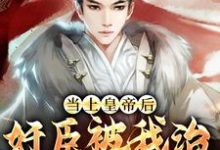 主人公叫朱高炽朱元璋朱棣的小说当上皇帝后，奸臣被我治的心服口服在线阅读章节-侠客文学