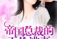 帝国总裁的天价逃妻小说阅读，帝国总裁的天价逃妻完结版-侠客文学