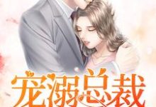 完结版《宠溺总裁的神秘妻》在线免费阅读-侠客文学