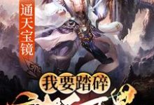 秦臻苏清的故事在哪本书里?免费阅读通天宝镜:我要踏碎诸天万界-侠客文学