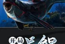 蔡凡蔡尚香为主角的小说叫什么?免费看开局一只鲲-侠客文学