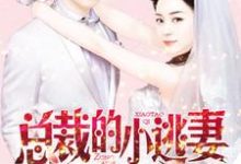 小说《总裁的小逃妻》章节免费阅读-侠客文学