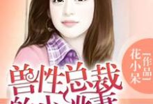 总裁的小逃妻免费阅读，总裁的小逃妻章节目录-侠客文学