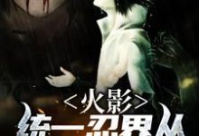 钱呈的小说在哪里看?免费在线阅读火影:统一忍界从商人开始-侠客文学