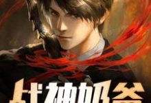 战神奶爸小说，战神奶爸易天病江如画-侠客文学