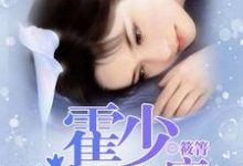 主角盛如珠霍泽小说霍少宠妻上瘾免费阅读-侠客文学