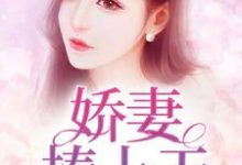 娇妻捧上天小说的免费电子版在哪里可以下载或阅读?-侠客文学