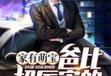 男女主人公叶林耀柳若曦郑超李树华小说家有萌宝：爸比超厉害的章节免费阅读-侠客文学